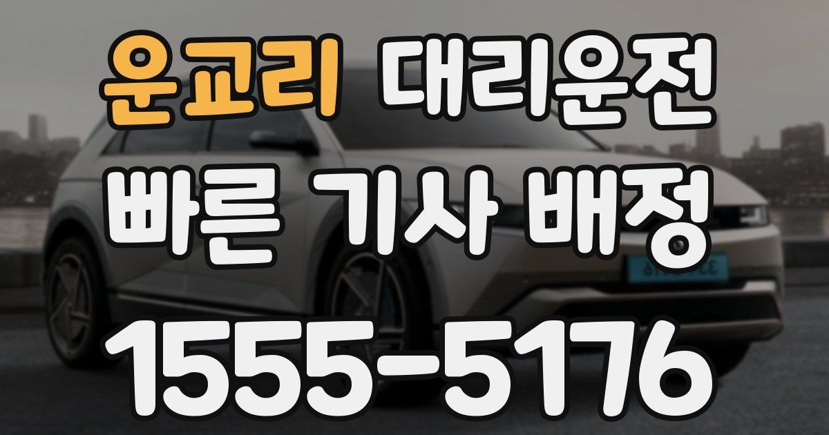 일일대리기사
