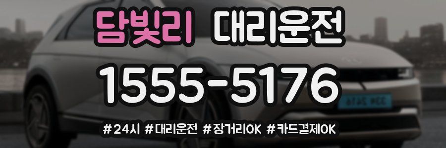 담빛리 대리운전