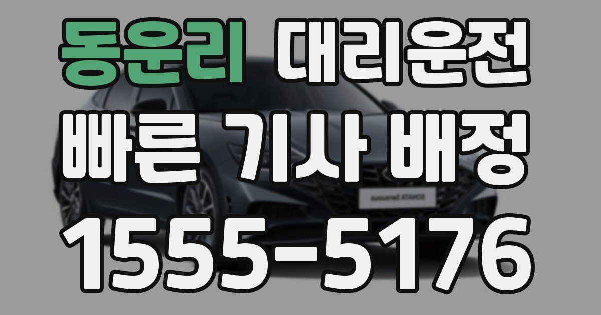 일일대리기사