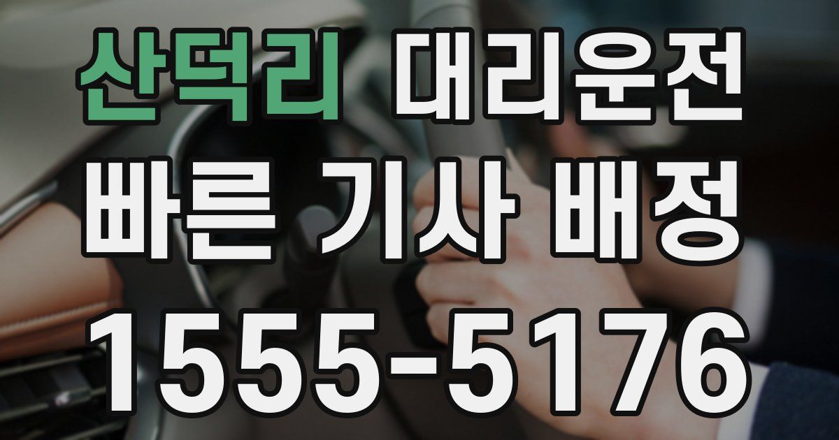 일일대리기사