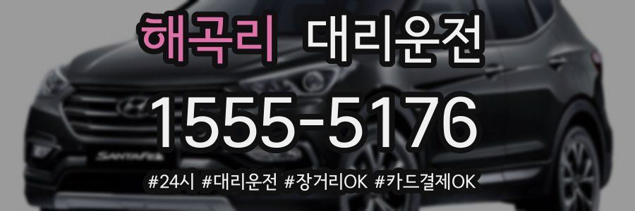 해곡리 대리운전