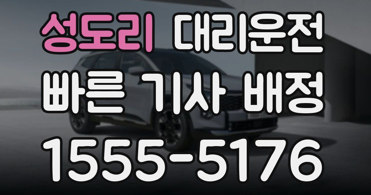 일일대리기사