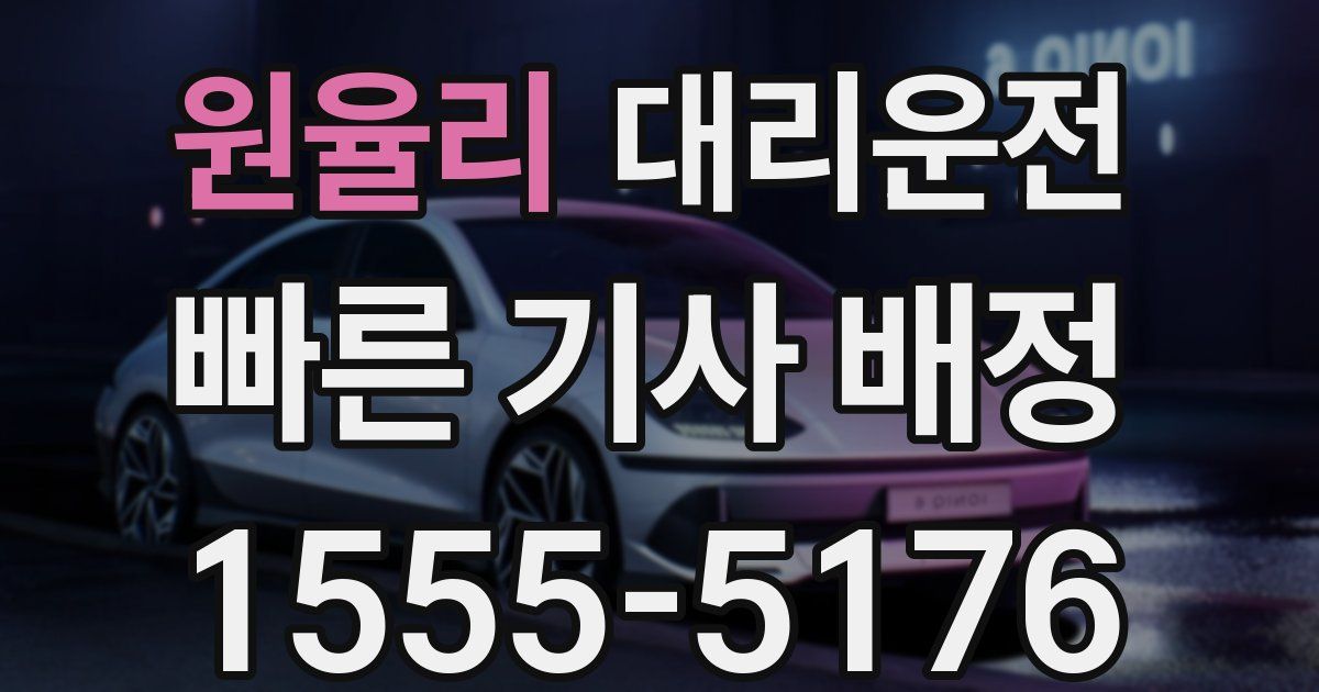 일일대리기사