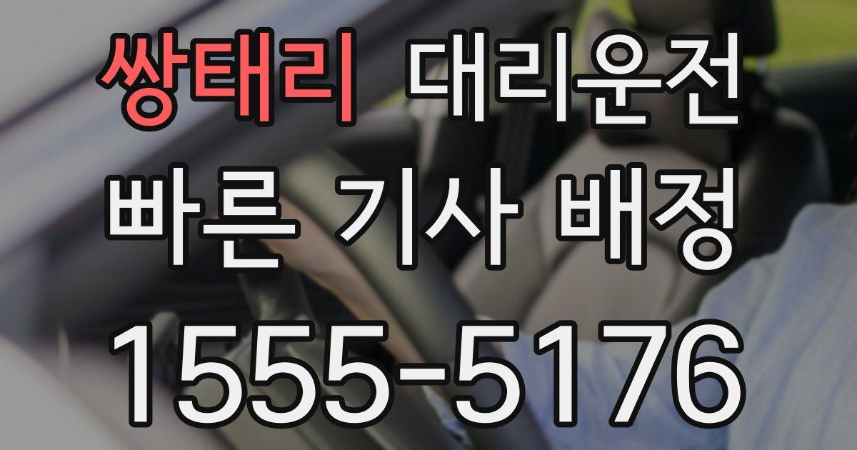 일일대리기사