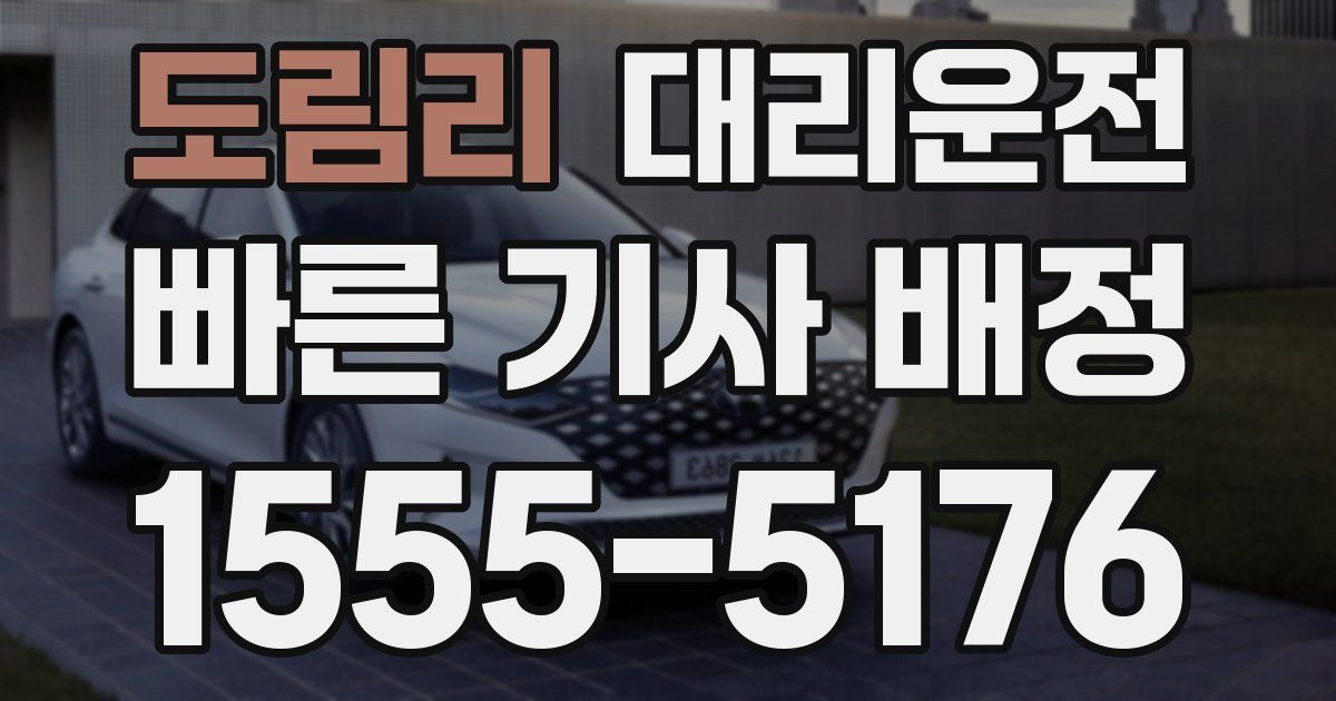 일일대리기사
