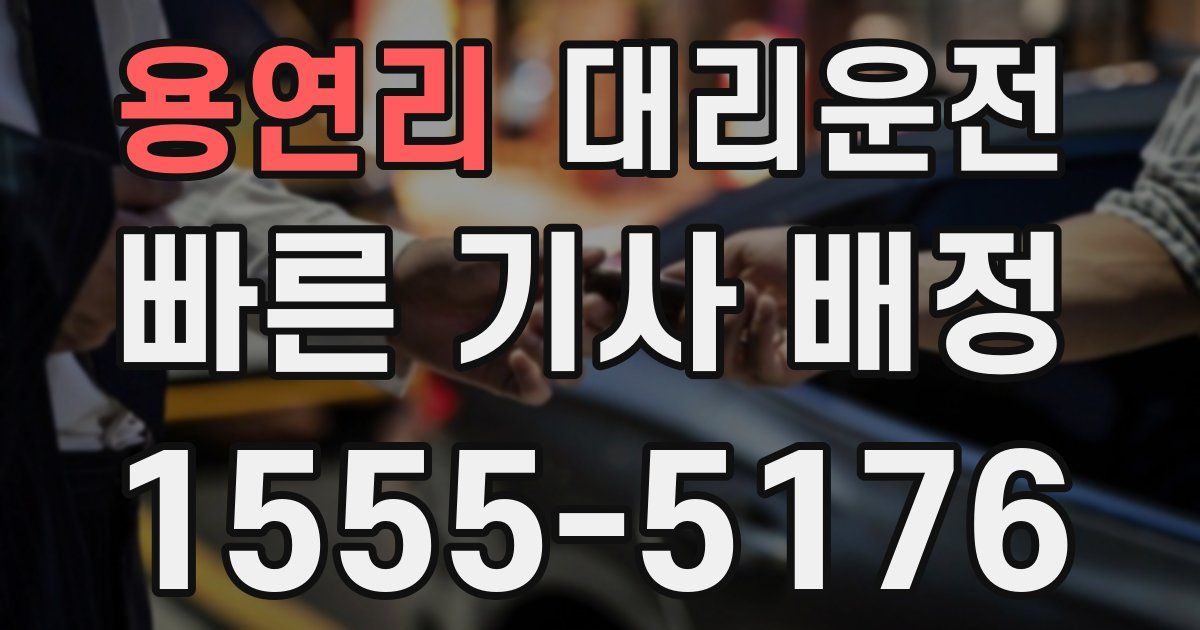 일일대리기사