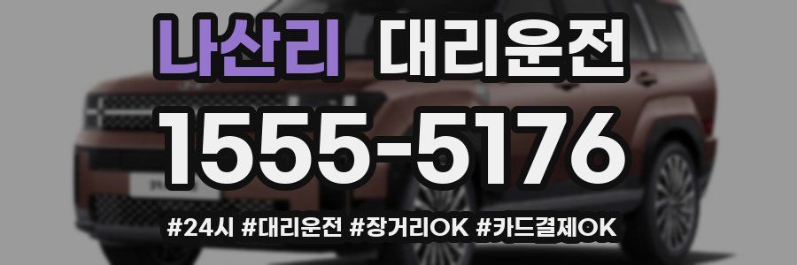 나산리 대리운전