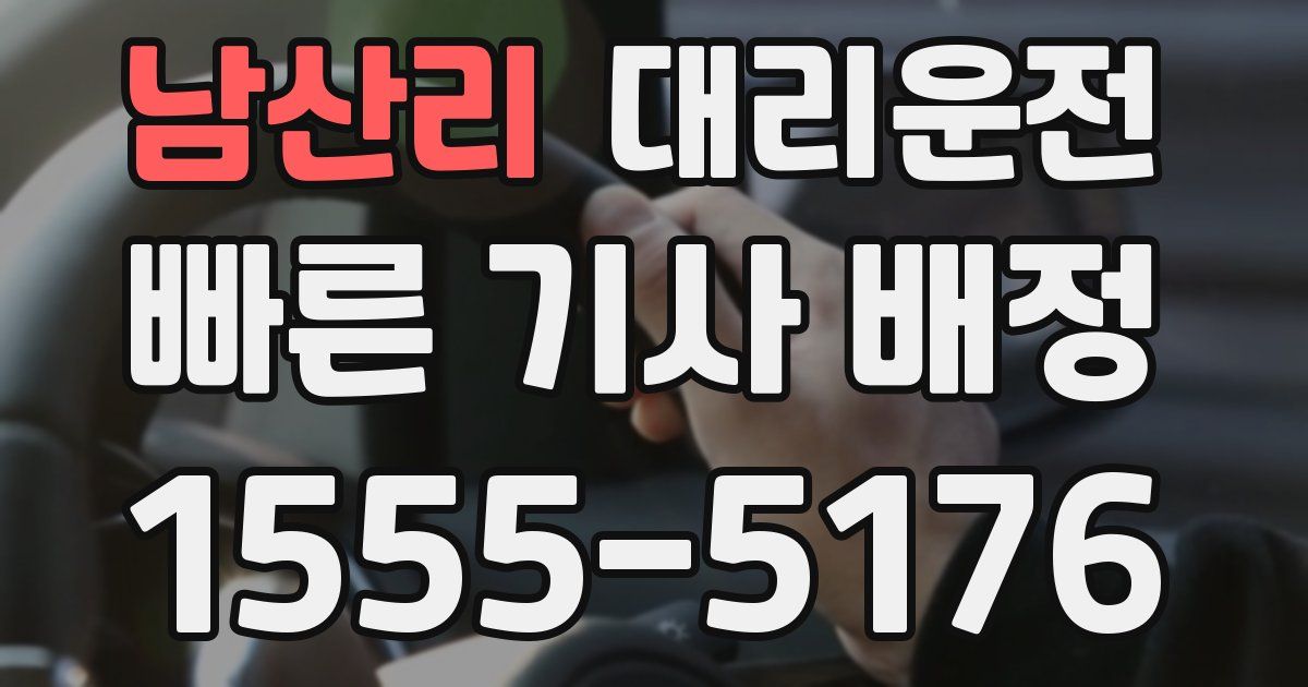 일일대리기사