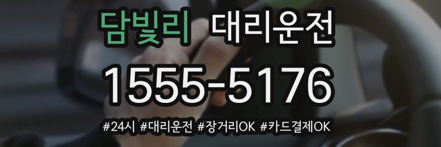 담빛리 대리운전