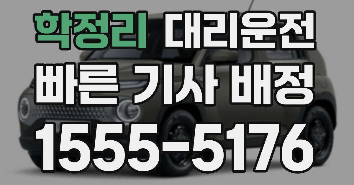 일일대리기사