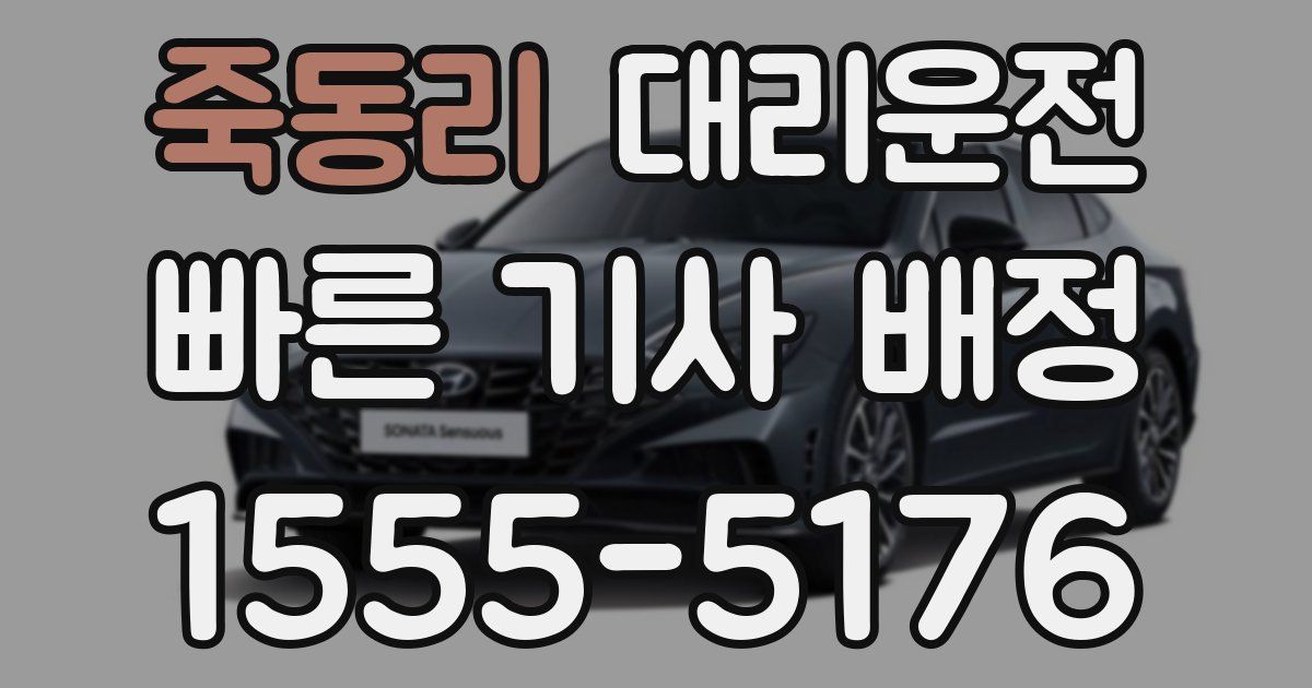 일일대리기사