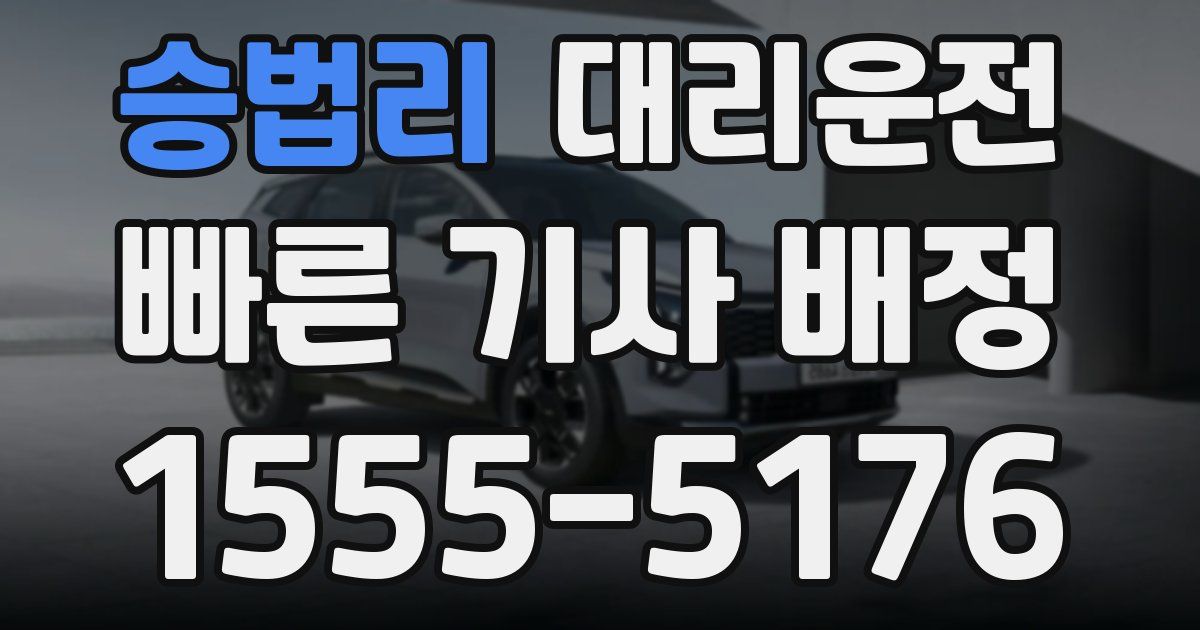 일일대리기사