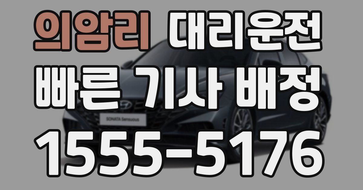 일일대리기사