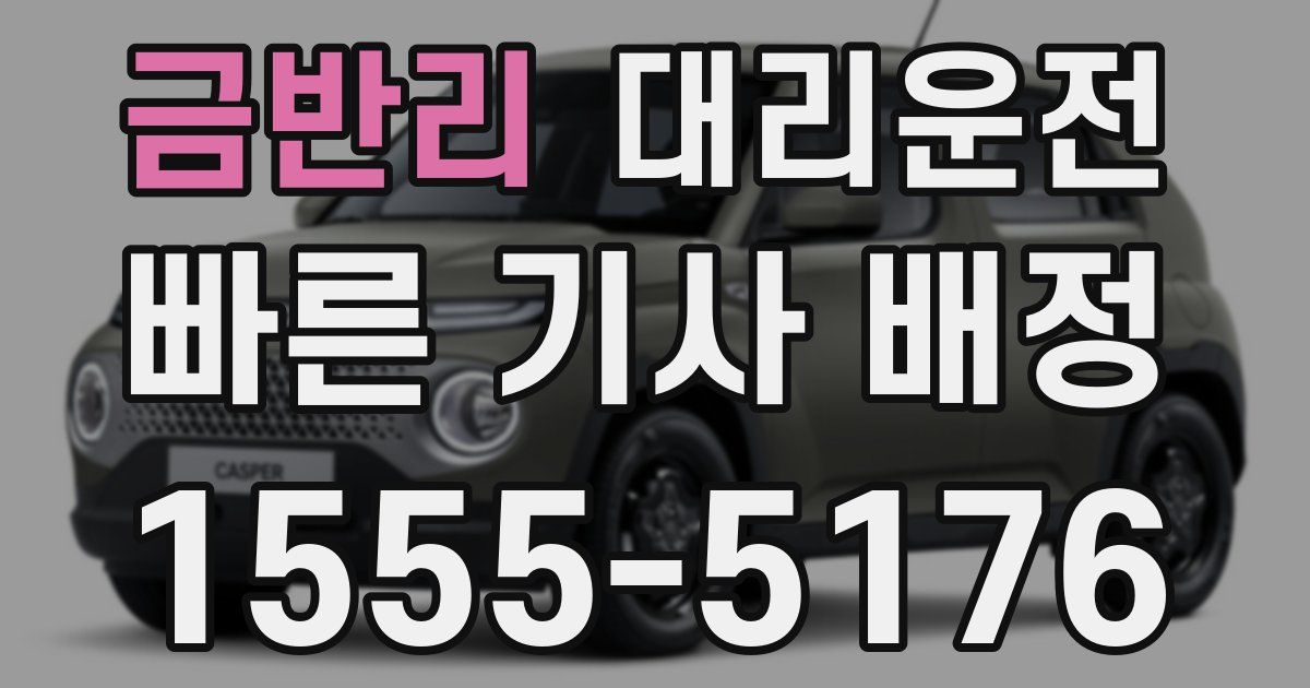 일일대리기사