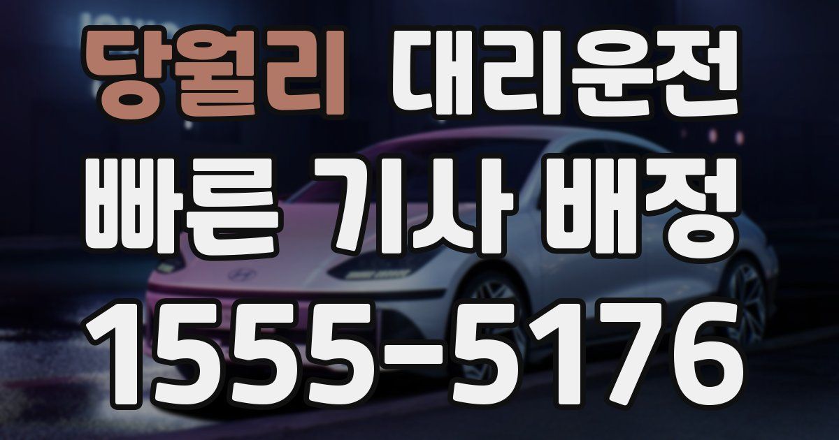 일일대리기사