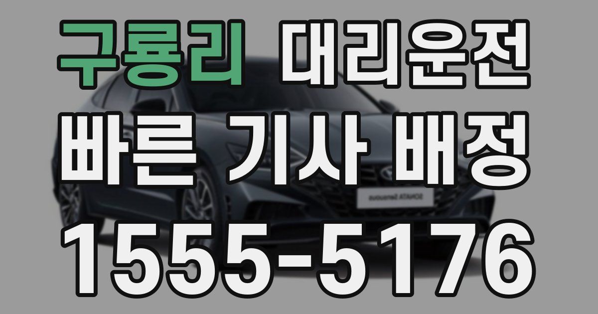 일일대리기사