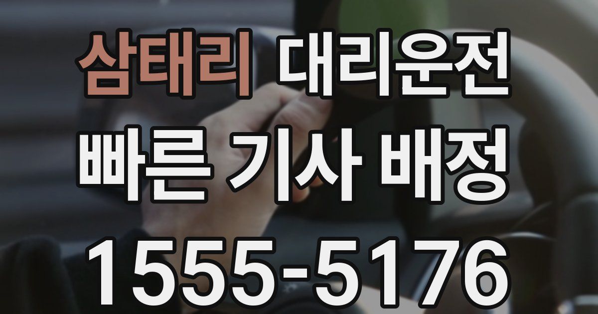 일일대리기사