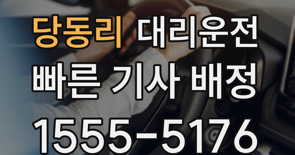 일일대리기사