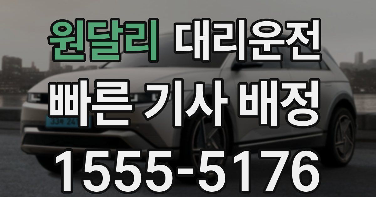 일일대리기사