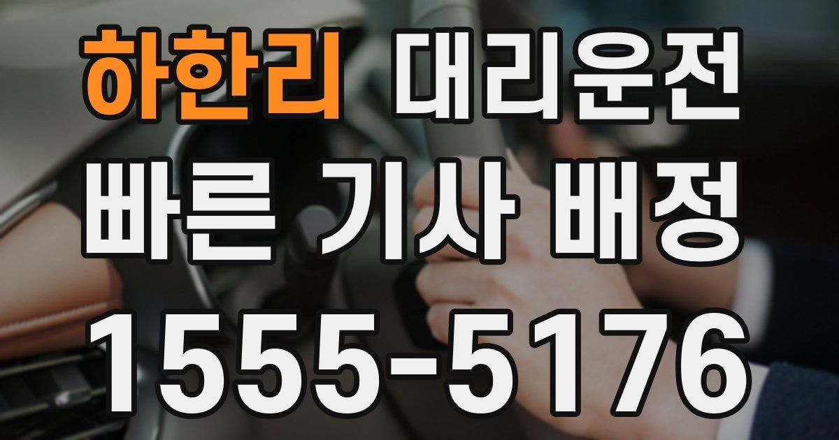 일일대리기사