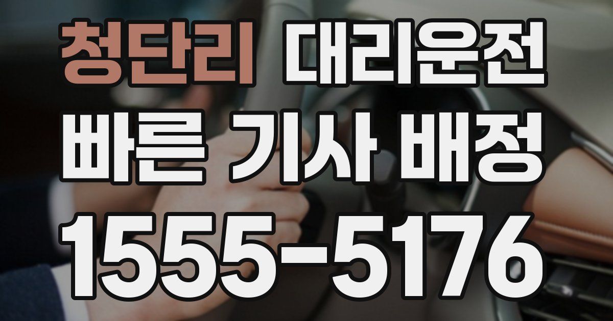 일일대리기사