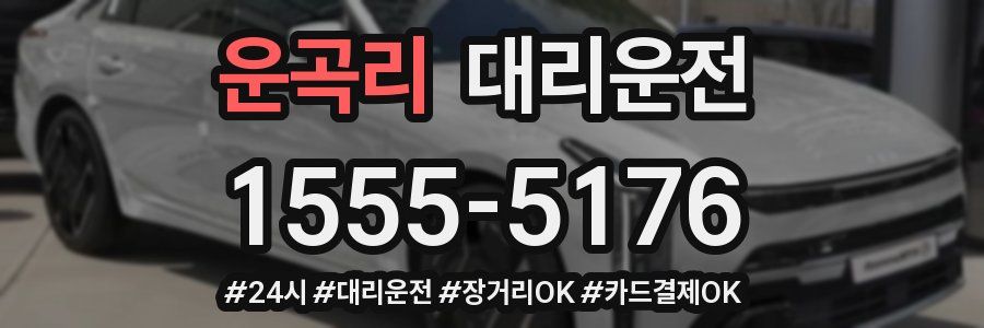 운곡리 대리운전