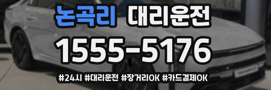 논곡리 대리운전