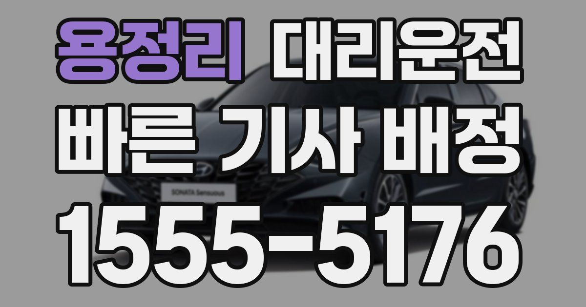 일일대리기사