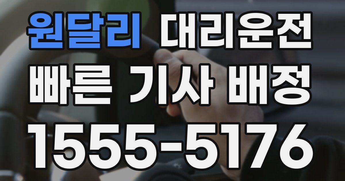 일일대리기사