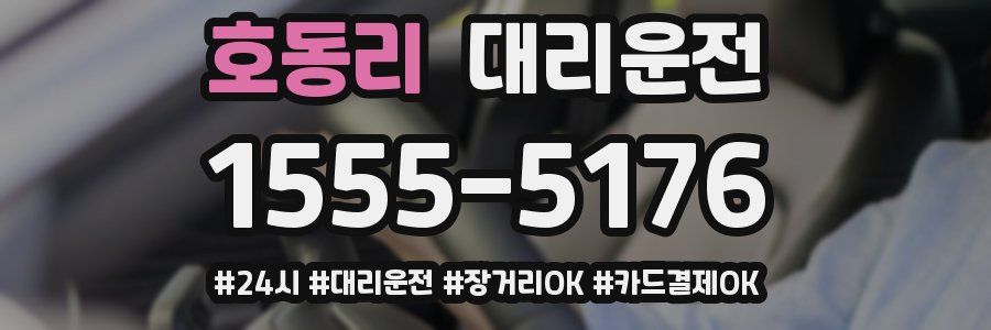 호동리 대리운전