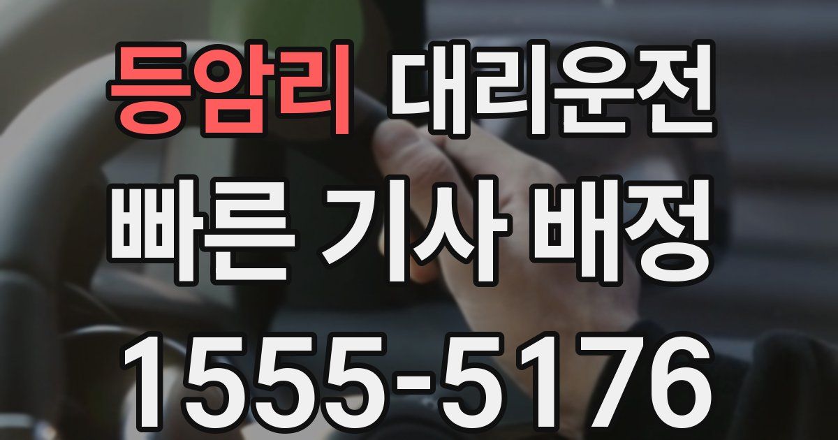 일일대리기사