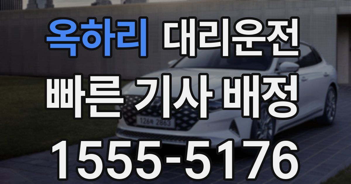 일일대리기사