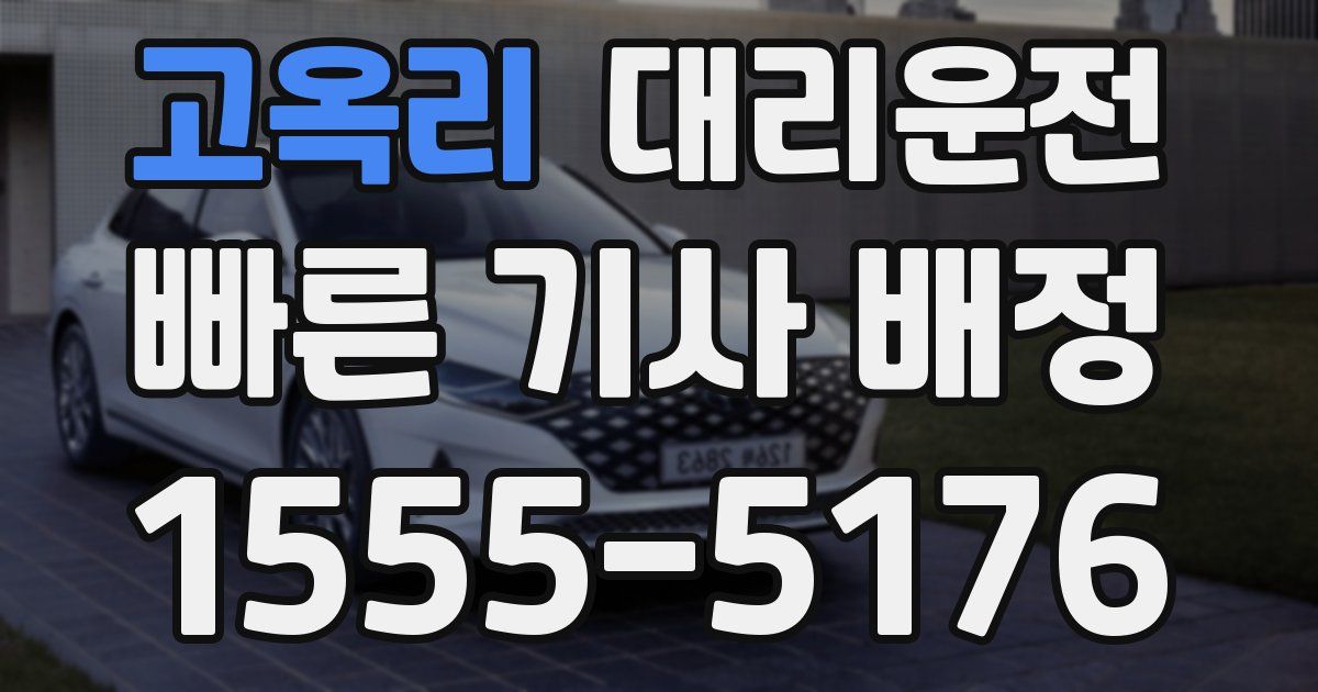 일일대리기사