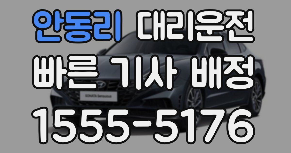 일일대리기사
