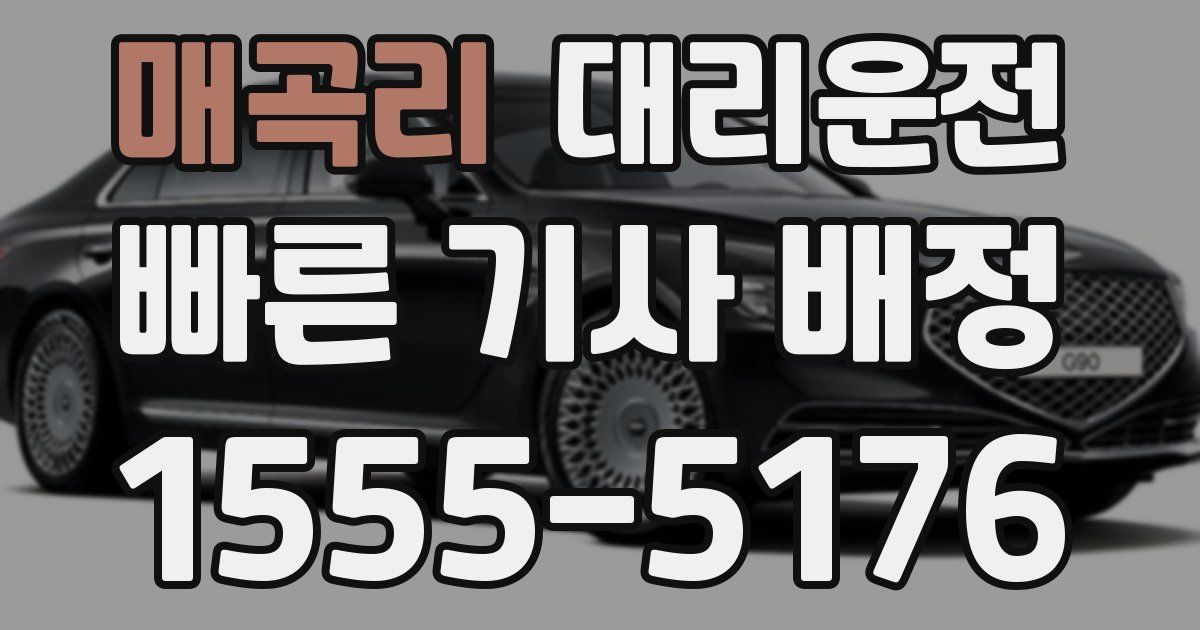일일대리기사