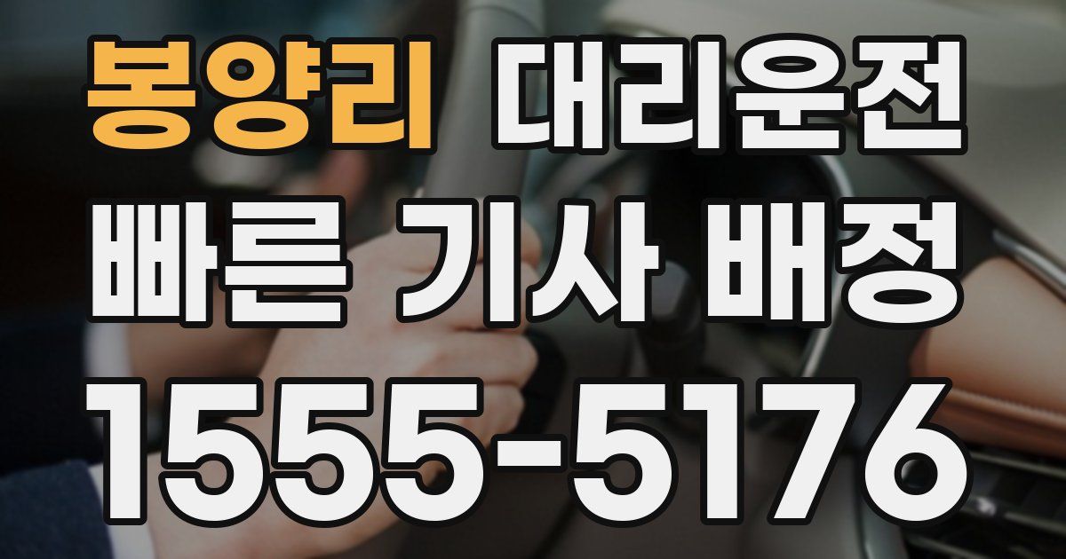 일일대리기사