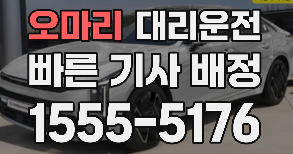 일일대리기사