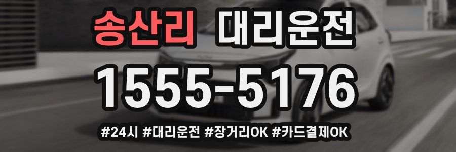 송산리 대리운전