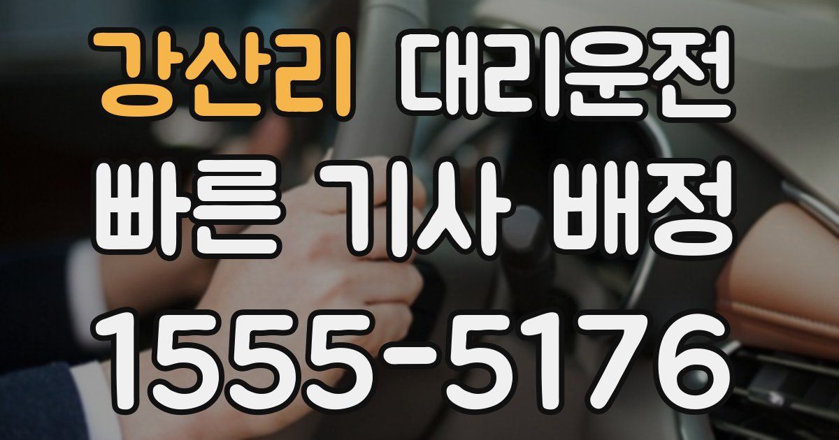일일대리기사
