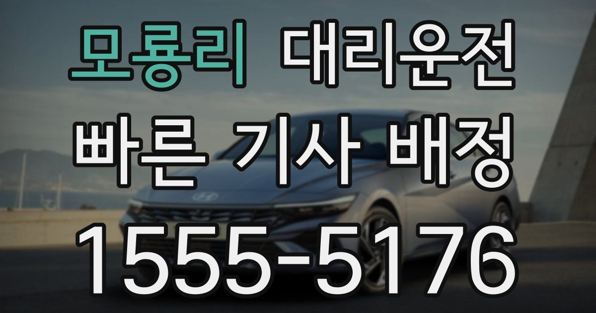 일일대리기사