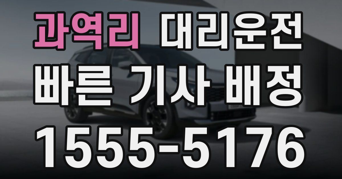 일일대리기사