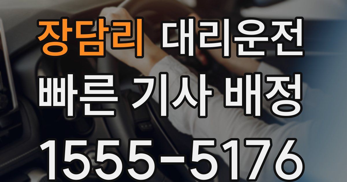일일대리기사