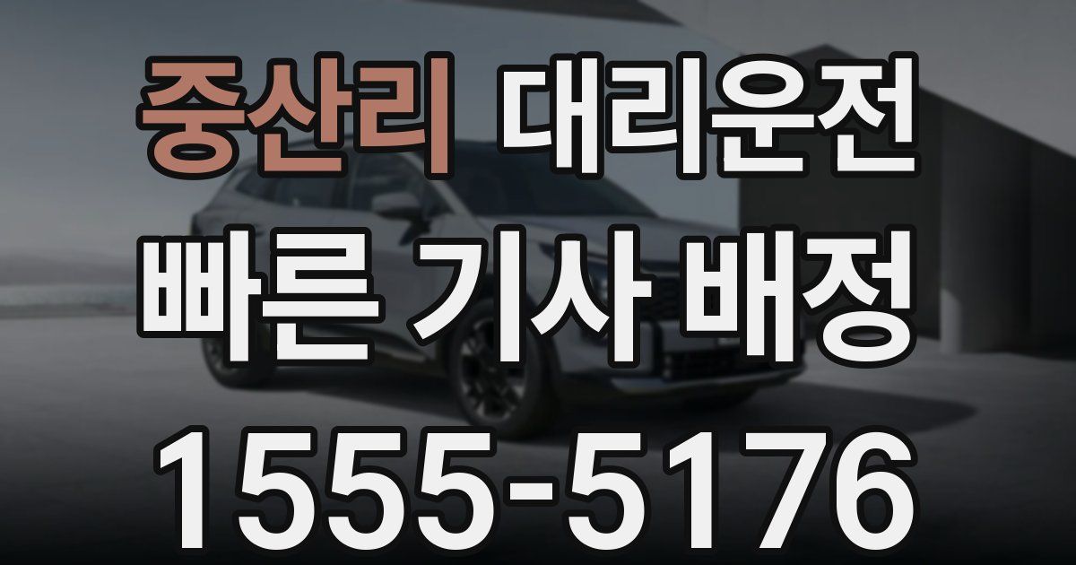 일일대리기사