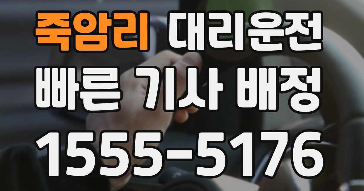 일일대리기사