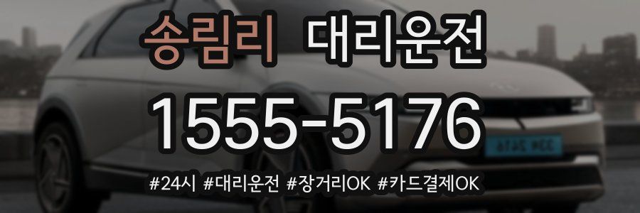 송림리 대리운전