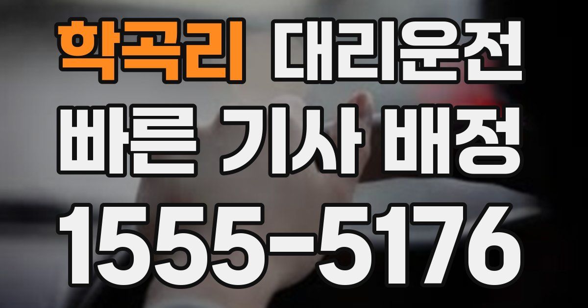 일일대리기사