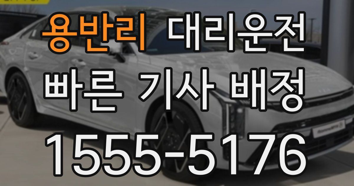 일일대리기사