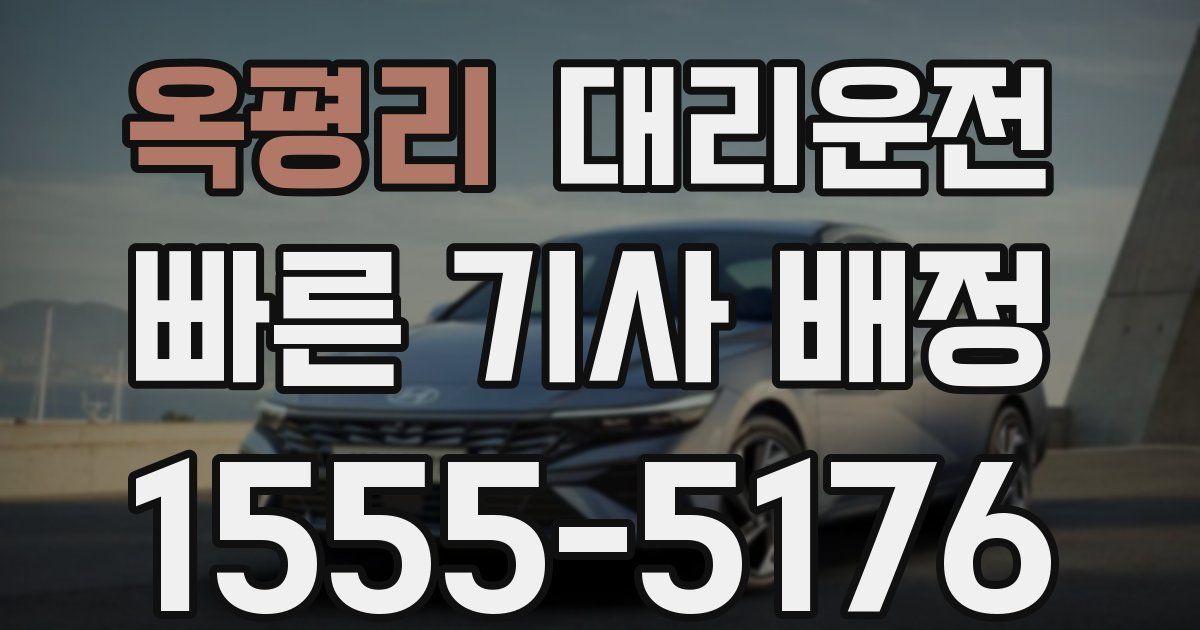 일일대리기사