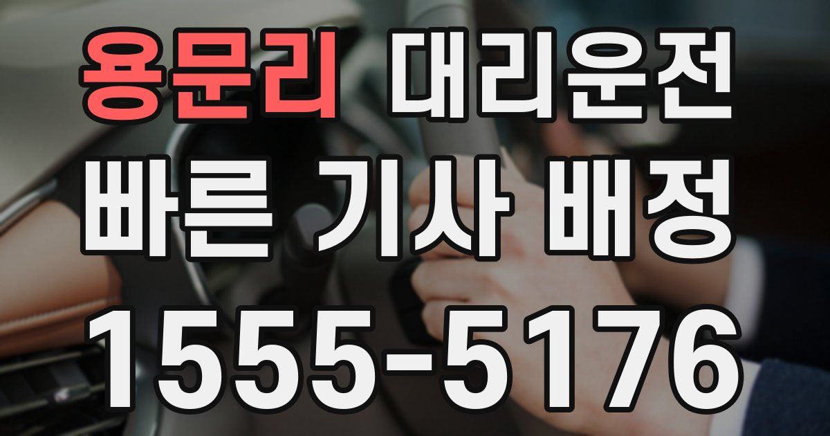 일일대리기사