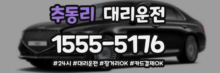 추동리 대리운전